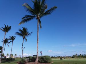 20190330_163129